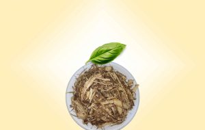 Iboga Root Barks 50g